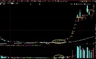 期货高度控盘指标(国内期货控盘太严重) (https://www.njaxzs.com/) 期货投资 第1张