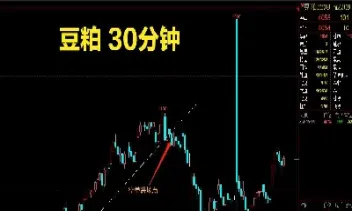 期货楠木没有曲线(期货怎么看线条) 黄金期货 第1张-爱新财经 期货楠木没有曲线(期货怎么看线条) (https://www.njaxzs.com/) 黄金期货 第1张