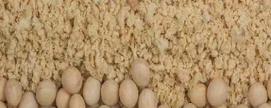 cbot大豆期货大幅反弹(大豆期货实时行情) (https://www.njaxzs.com/) 原油期货 第1张