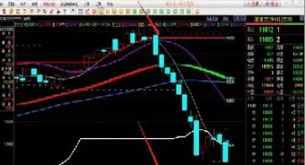 期货短长线对比(期货长线短线是什么意思) (https://www.njaxzs.com/) 期货直播间 第1张