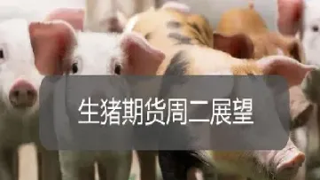 怎样做生猪期货(生猪期货怎么做空) (https://www.njaxzs.com/) 期货投资 第1张