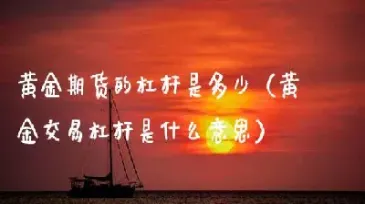 期货螺纹钢杠杆是什么意思(期货杠杆是什么意思) (https://www.njaxzs.com/) 期货开户 第1张