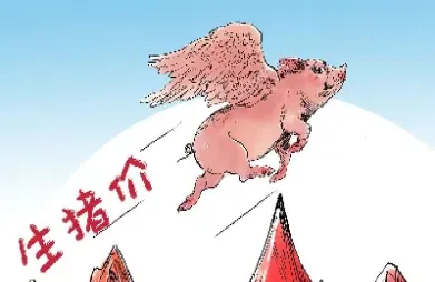 生猪期货是活猪还是最后(生猪期货和生猪价格的关系) 期货行情 第1张-爱新财经 生猪期货是活猪还是最后(生猪期货和生猪价格的关系) (https://www.njaxzs.com/) 期货行情 第1张