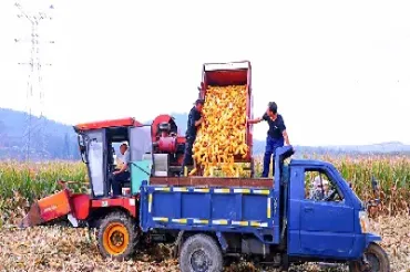 玉米期货进入关键位置争夺(玉米期货的交易规则) (https://www.njaxzs.com/) 内盘期货 第1张