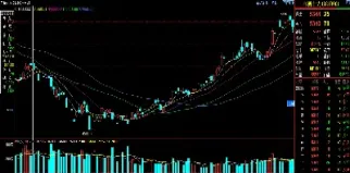 做期货应该每天抓龙头吗(如何抓住期货每天龙头) (https://www.njaxzs.com/) 内盘期货 第1张