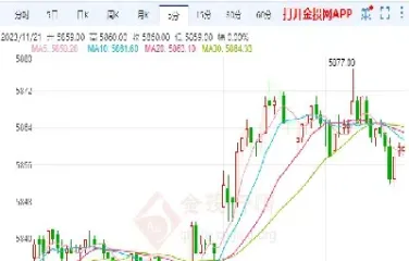 美国白银杠杆期货(白银期货多少倍杠杆) (https://www.njaxzs.com/) 内盘期货 第1张