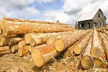 木材期货涨一倍(木材期货实时行情) (https://www.njaxzs.com/) 期货开户 第1张