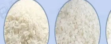 期货粳米和晚稻区别在哪里(期货粳米是哪种米) (https://www.njaxzs.com/) 内盘期货 第1张