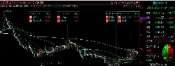 猪肉期货什么上市交易(猪肉期货什么上市交易最好) (https://www.njaxzs.com/) 黄金期货 第1张