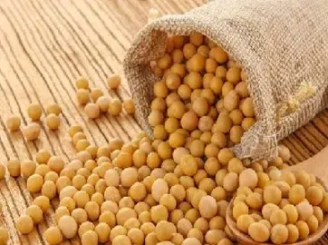 大豆期货看豆一还是看豆二(大豆期货看哪个) (https://www.njaxzs.com/) 期货行情 第1张