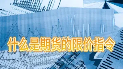 期货大宗商品期权(期货中的大宗商品是指哪些品种) (https://www.njaxzs.com/) 内盘期货 第1张