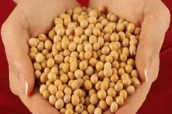 大豆期货连续下跌(美盘大豆实时期货) (https://www.njaxzs.com/) 内盘期货 第1张