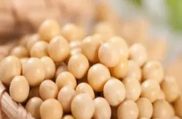 做美国大豆期货用什么盘子好(美国大豆期货cfd) (https://www.njaxzs.com/) 期货开户 第1张