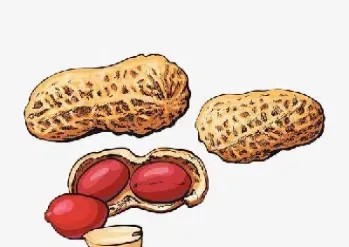 花生期货pkm是什么意思(花生期货交易代码) (https://www.njaxzs.com/) 黄金期货 第1张