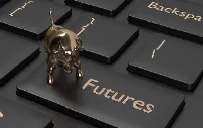 期货国内怎么玩(期货怎么玩的详细介绍一下) (https://www.njaxzs.com/) 原油期货 第1张