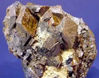 期货铁矿石交易的品种(期货交易铁矿石) 原油期货 第1张-爱新财经 期货铁矿石交易的品种(期货交易铁矿石) (https://www.njaxzs.com/) 原油期货 第1张