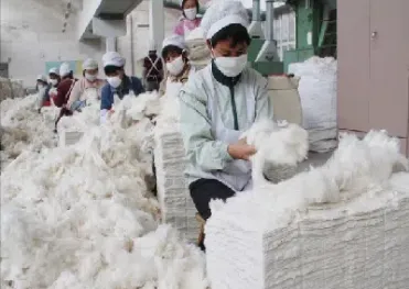 买棉花期货要注意什么事项(如何购买棉花期货) (https://www.njaxzs.com/) 原油期货 第1张