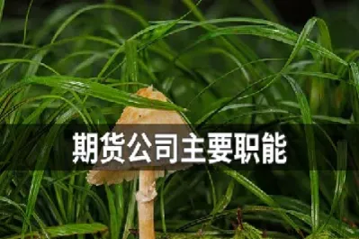 期货包括梨花木吗(期货有铜和铝吗) (https://www.njaxzs.com/) 期货直播间 第1张