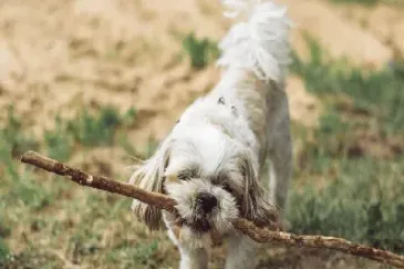 沪金期货的杠杆是多少(沪金期货佣金多少倍) (https://www.njaxzs.com/) 期货投资 第1张