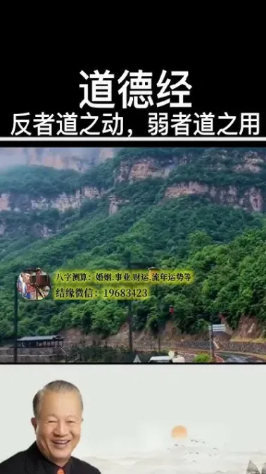 期货与弱者道之用(期货交易中的道与术) (https://www.njaxzs.com/) 内盘期货 第1张