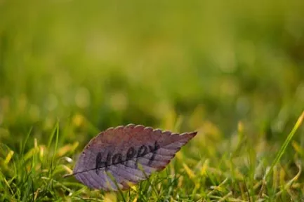 期货成交量大于库存(期货成交量分析) (https://www.njaxzs.com/) 期货行情 第1张