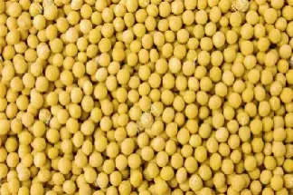 期货豆一豆二和菜粕(豆一豆二期货与豆粕关系) (https://www.njaxzs.com/) 原油期货 第1张