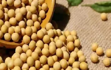 期货大豆一和大豆二的区别是什么(期货大豆是什么意思) (https://www.njaxzs.com/) 原油期货 第1张