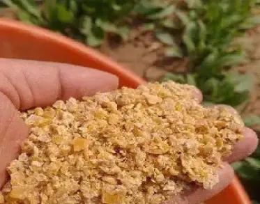 豆粕期货为什么分那么多合约(豆粕期货合约代码) (https://www.njaxzs.com/) 期货投资 第1张