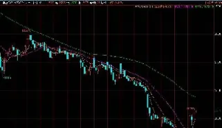 棉花期货开市时间(棉花期货上市的时间) (https://www.njaxzs.com/) 原油期货 第1张