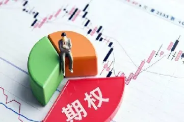 期货和期权杠杆哪个高(期权和期货杠杆更大吗) (https://www.njaxzs.com/) 原油期货 第1张