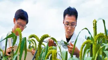 期货市场为农民增收(期货对农产品的影响) (https://www.njaxzs.com/) 期货行情 第1张