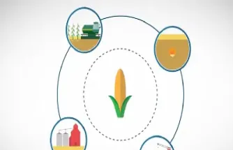 农产品期货交易规则重点介绍(农产品期货的交易规则) (https://www.njaxzs.com/) 期货投资 第1张