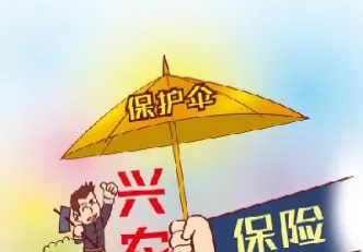 保险加期货含义(保险加期货含义是什么) (https://www.njaxzs.com/) 黄金期货 第1张