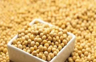 豆粕技术面分析(豆粕技术面反弹) (https://www.njaxzs.com/) 内盘期货 第1张