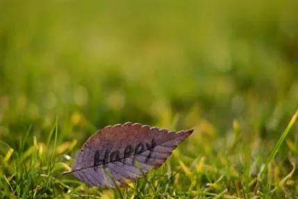 沪深300指数k线走势(沪深300指数走向图) (https://www.njaxzs.com/) 内盘期货 第1张