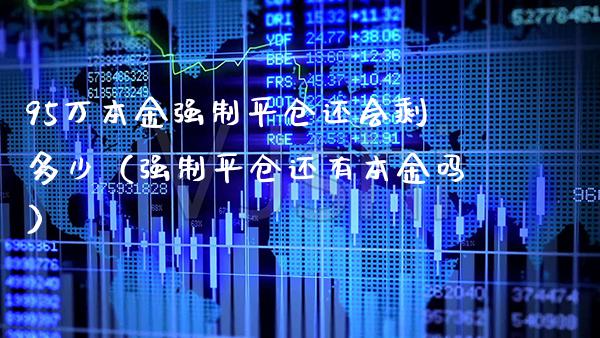 95万本金强制平仓还会剩多少（强制平仓还有本金吗） (https://www.njaxzs.com/) 期货直播间 第1张
