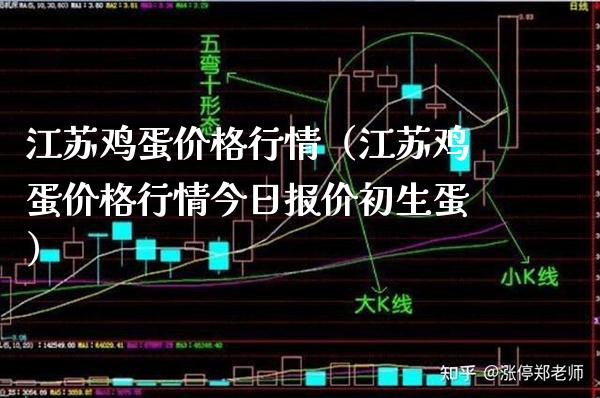 江苏鸡蛋行情（江苏鸡蛋行情今日报价初生蛋） (https://www.njaxzs.com/) 期货直播间 第1张