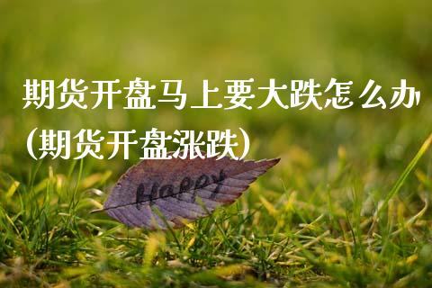 期货开盘马上要大跌怎么办(期货开盘涨跌) 期货投资 第1张-爱新财经 期货开盘马上要大跌怎么办(期货开盘涨跌) (https://www.njaxzs.com/) 期货投资 第1张