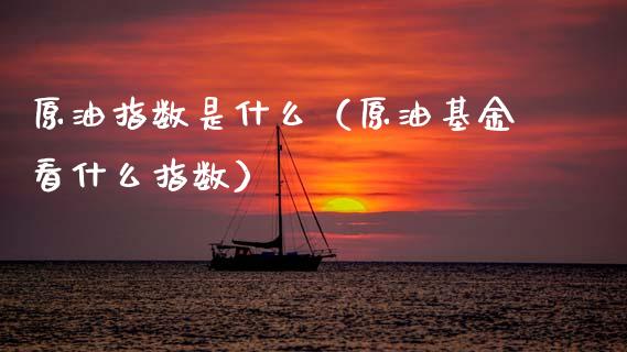 原油指数是什么（原油基金看什么指数） (https://www.njaxzs.com/) 黄金期货 第1张