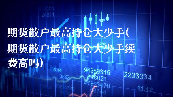 期货散户最高持仓大少手(期货散户最高持仓大少手续费高吗) (https://www.njaxzs.com/) 期货直播间 第1张