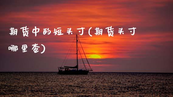 期货中的短头寸(期货头寸哪里查) (https://www.njaxzs.com/) 期货开户 第1张