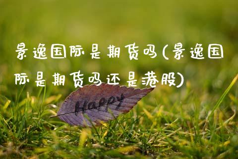 景逸国际是期货吗(景逸国际是期货吗还是港股) (https://www.njaxzs.com/) 原油期货 第1张