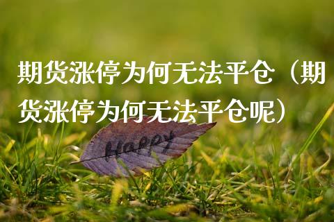 期货涨停为何无法平仓（期货涨停为何无法平仓呢） (https://www.njaxzs.com/) 期货行情 第1张