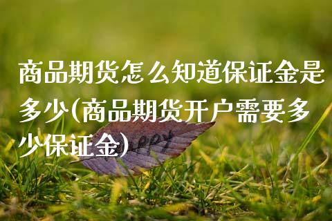 商品期货怎么知道保证金是多少(商品期货开户需要多少保证金) (https://www.njaxzs.com/) 期货投资 第1张