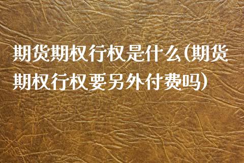 期货期权行权是什么(期货期权行权要另外付费吗) (https://www.njaxzs.com/) 内盘期货 第1张