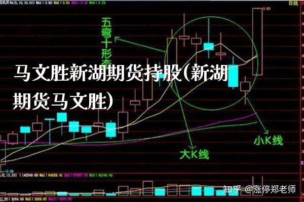 马文胜新湖期货持股(新湖期货马文胜) (https://www.njaxzs.com/) 期货直播间 第1张