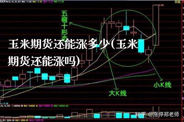 玉米期货还能涨多少(玉米期货还能涨吗) (https://www.njaxzs.com/) 期货直播间 第1张