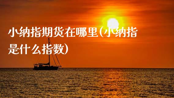 小纳指期货在哪里(小纳指是什么指数) (https://www.njaxzs.com/) 期货直播间 第1张