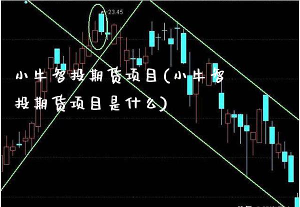 小牛智投期货项目(小牛智投期货项目是什么) (https://www.njaxzs.com/) 期货开户 第1张