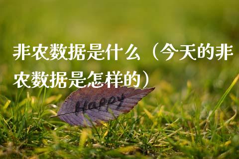 非农数据是什么（今天的非农数据是怎样的） (https://www.njaxzs.com/) 期货开户 第1张
